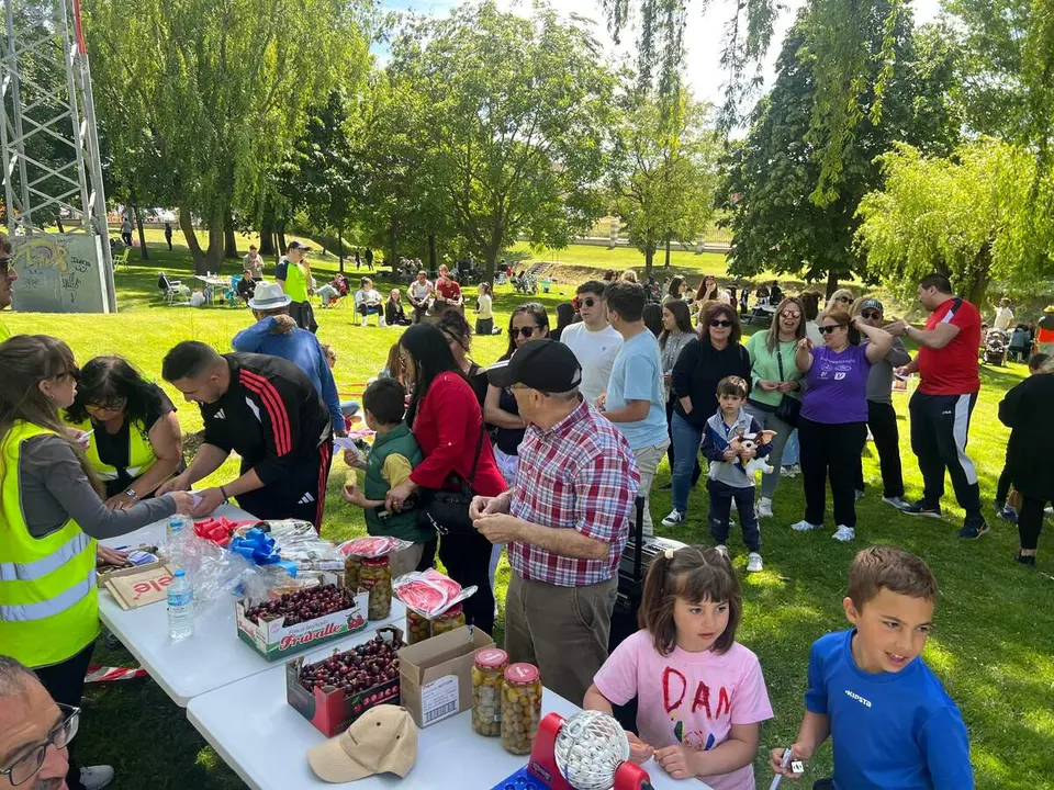 Bingo Solidario Fiesta de la Primavera 2026