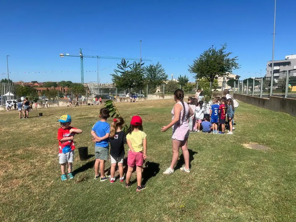 Jornada de plantaci&oacute;n de &aacute;rboles en Carbjosa (4)