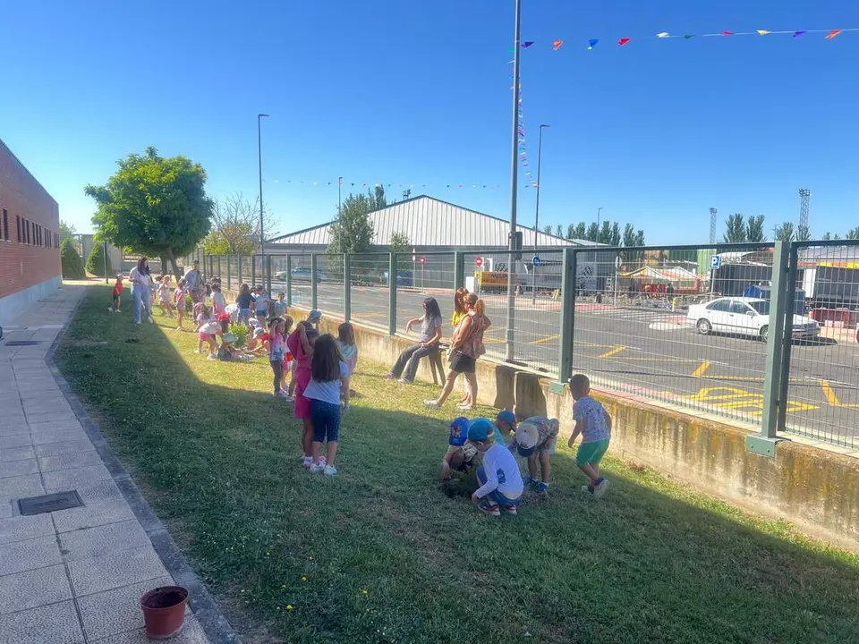 Jornada de plantaci&oacute;n de &aacute;rboles en Carbjosa (12)