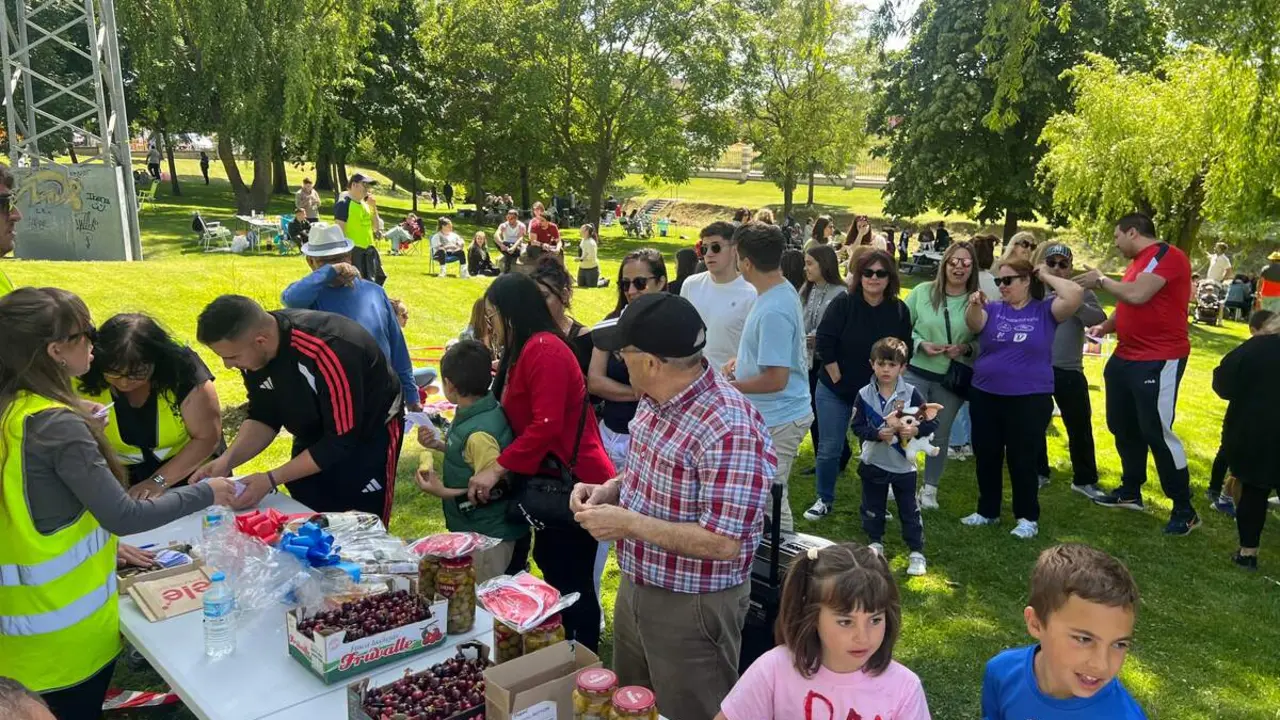 Bingo Solidario Fiesta de la Primavera 2026