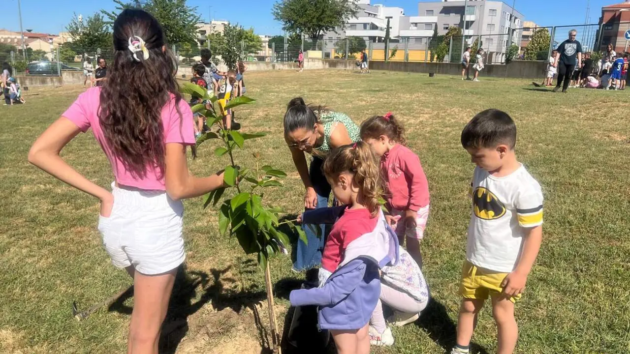 Jornada de plantaci&oacute;n de &aacute;rboles en Carbjosa (10)