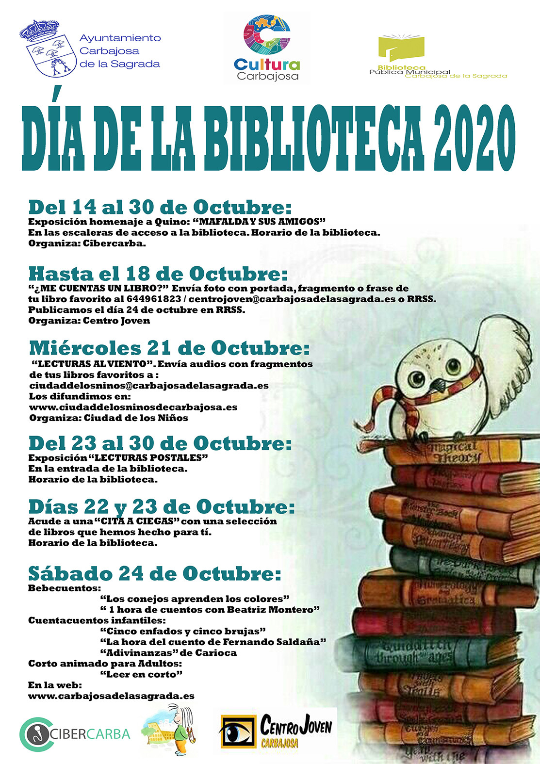 Cartel Diu0301a de la Biblioteca 2020