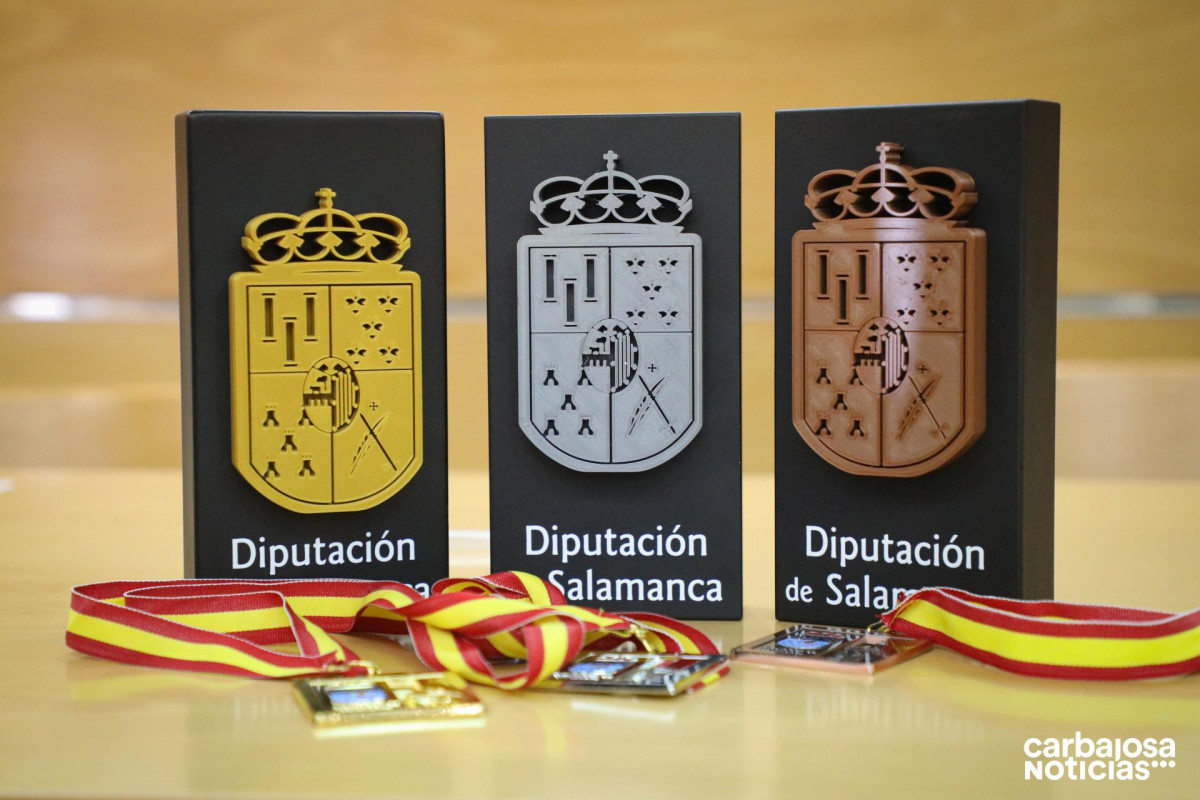  multimedia images 2MLS1254