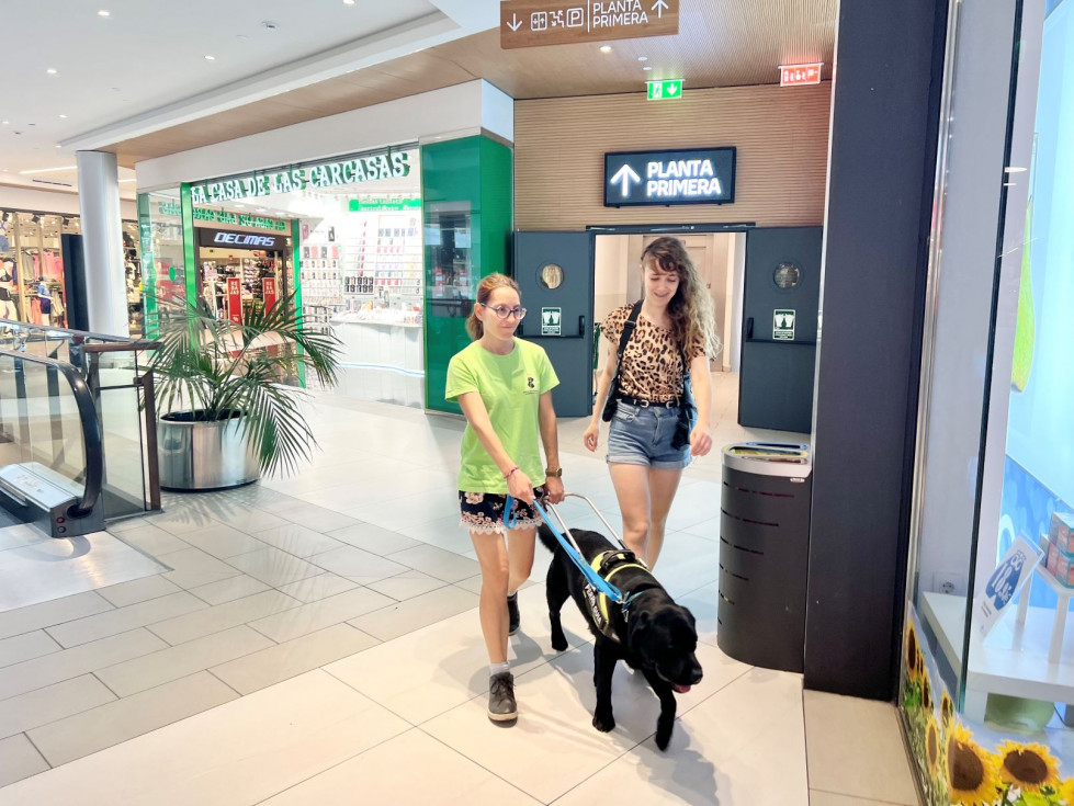 ET Practicas perros de asistencia 6