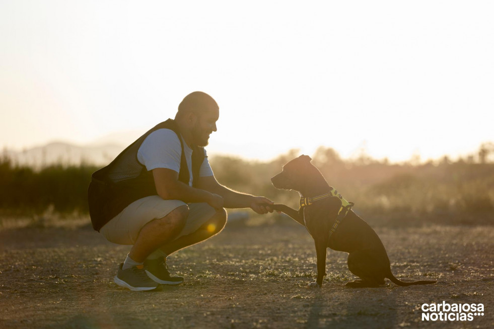 Hombre entrenando su perro al aire libre al atardecer