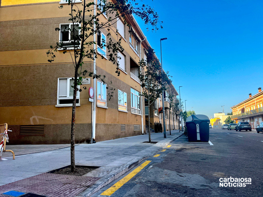 Árboles calle Oeste 1