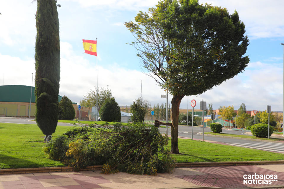 Viento1
