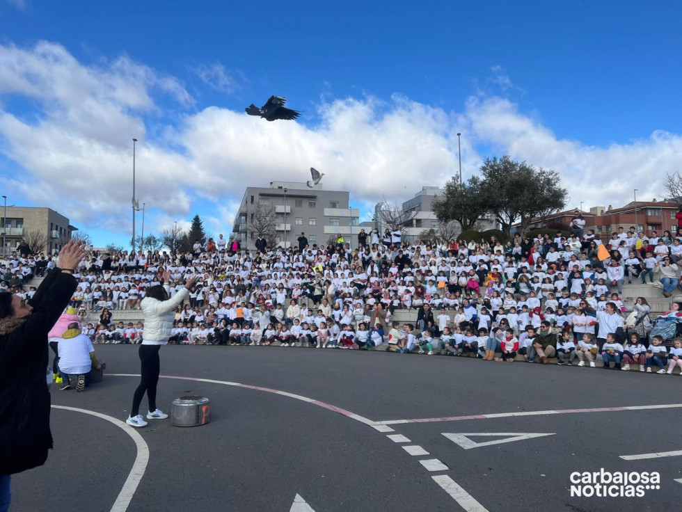 Dia de la paz 202517