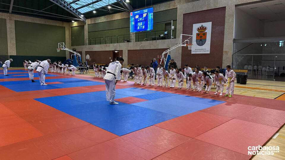 Judo4
