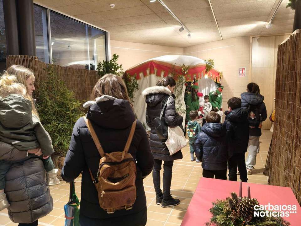 IMG 1753