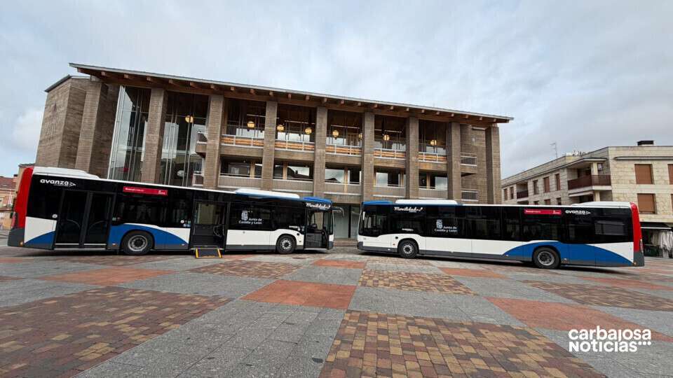Autobuses hibridos Avanza 11